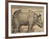 Rhinoceros, 1515-Albrecht Dürer-Framed Giclee Print