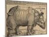 Rhinoceros, 1515-Albrecht Dürer-Mounted Giclee Print