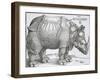 Rhinoceros, 1515-Albrecht Durer-Framed Art Print