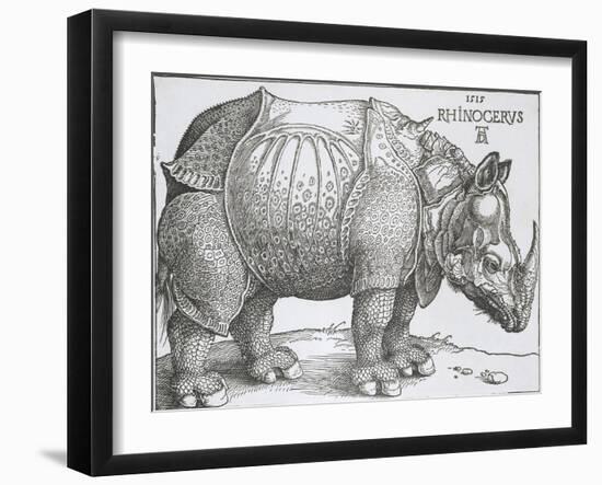 Rhinoceros, 1515-Albrecht Durer-Framed Art Print