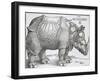 Rhinoceros, 1515-Albrecht Durer-Framed Art Print