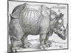 Rhinoceros, 1515-Albrecht Durer-Mounted Art Print