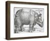 Rhinoceros, 1515-Albrecht Durer-Framed Art Print