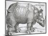 Rhinoceros, 1515-Albrecht Durer-Mounted Art Print