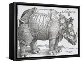 Rhinoceros, 1515-Albrecht Durer-Framed Stretched Canvas