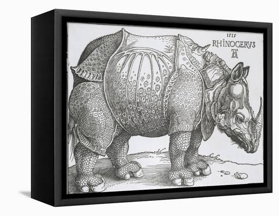 Rhinoceros, 1515-Albrecht Durer-Framed Stretched Canvas
