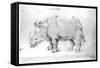 Rhinoceros, 1515-Albrecht Dürer-Framed Stretched Canvas