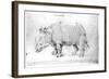 Rhinoceros, 1515-Albrecht Dürer-Framed Giclee Print