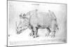 Rhinoceros, 1515-Albrecht Dürer-Mounted Giclee Print