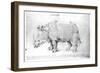 Rhinoceros, 1515-Albrecht Dürer-Framed Premium Giclee Print