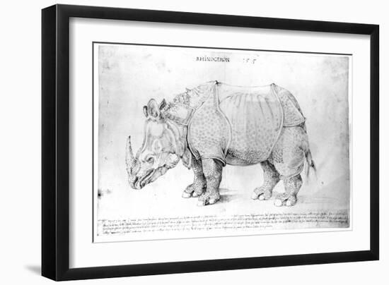 Rhinoceros, 1515-Albrecht Dürer-Framed Premium Giclee Print