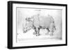 Rhinoceros, 1515-Albrecht Dürer-Framed Premium Giclee Print