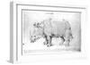 Rhinoceros, 1515-Albrecht Dürer-Framed Premium Giclee Print