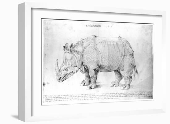 Rhinoceros, 1515-Albrecht Dürer-Framed Giclee Print