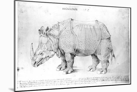 Rhinoceros, 1515-Albrecht Dürer-Mounted Giclee Print