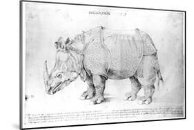 Rhinoceros, 1515-Albrecht Dürer-Mounted Giclee Print