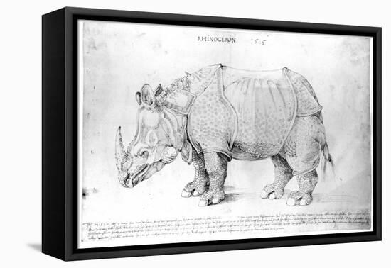 Rhinoceros, 1515-Albrecht Dürer-Framed Stretched Canvas