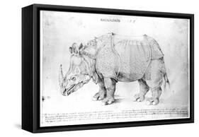 Rhinoceros, 1515-Albrecht Dürer-Framed Stretched Canvas