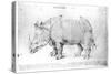 Rhinoceros, 1515-Albrecht Dürer-Stretched Canvas