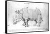 Rhinoceros, 1515-Albrecht Dürer-Framed Stretched Canvas