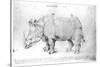 Rhinoceros, 1515-Albrecht Dürer-Stretched Canvas