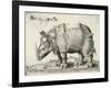 Rhinoceros, 1548-Enea Vico-Framed Giclee Print