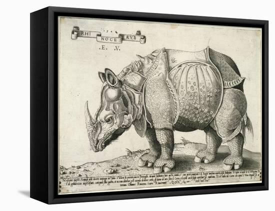 Rhinoceros, 1548-Enea Vico-Framed Stretched Canvas