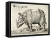 Rhinoceros, 1548-Enea Vico-Framed Stretched Canvas