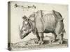 Rhinoceros, 1548-Enea Vico-Stretched Canvas