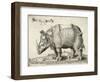 Rhinoceros, 1548-Enea Vico-Framed Giclee Print