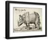 Rhinoceros, 1548-Enea Vico-Framed Giclee Print