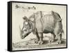 Rhinoceros, 1548-Enea Vico-Framed Stretched Canvas
