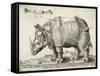 Rhinoceros, 1548-Enea Vico-Framed Stretched Canvas