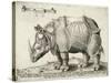 Rhinoceros, 1548-Enea Vico-Stretched Canvas