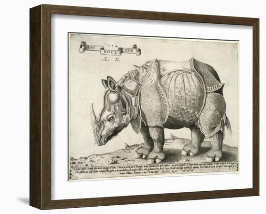 Rhinoceros, 1548-Enea Vico-Framed Giclee Print