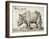 Rhinoceros, 1548-Enea Vico-Framed Giclee Print