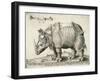 Rhinoceros, 1548-Enea Vico-Framed Giclee Print