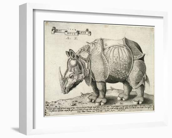 Rhinoceros, 1548-Enea Vico-Framed Giclee Print