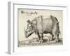 Rhinoceros, 1548-Enea Vico-Framed Giclee Print