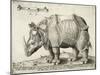 Rhinoceros, 1548-Enea Vico-Mounted Giclee Print