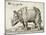 Rhinoceros, 1548-Enea Vico-Mounted Giclee Print