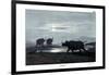 Rhinoceros, 1860-null-Framed Giclee Print