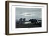 Rhinoceros, 1860-null-Framed Giclee Print