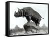 Rhinoceros, 1878, by Alfred Jacquemart-Adolphe Giraudon-Framed Stretched Canvas