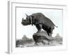 Rhinoceros, 1878, by Alfred Jacquemart-Adolphe Giraudon-Framed Photographic Print