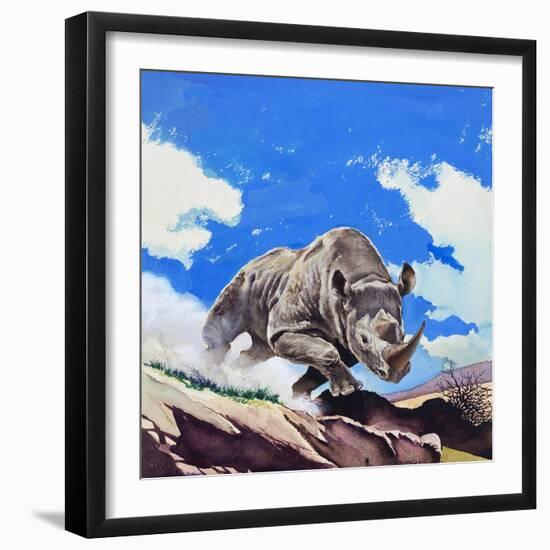 Rhinoceros, 1962-English School-Framed Giclee Print