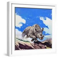 Rhinoceros, 1962-English School-Framed Giclee Print