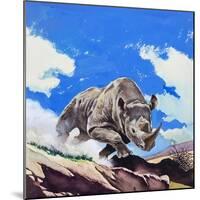 Rhinoceros, 1962-English School-Mounted Giclee Print