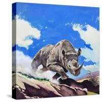 Rhinoceros, 1962-English School-Stretched Canvas