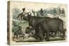 Rhinoceros and Dogs C1845-null-Stretched Canvas